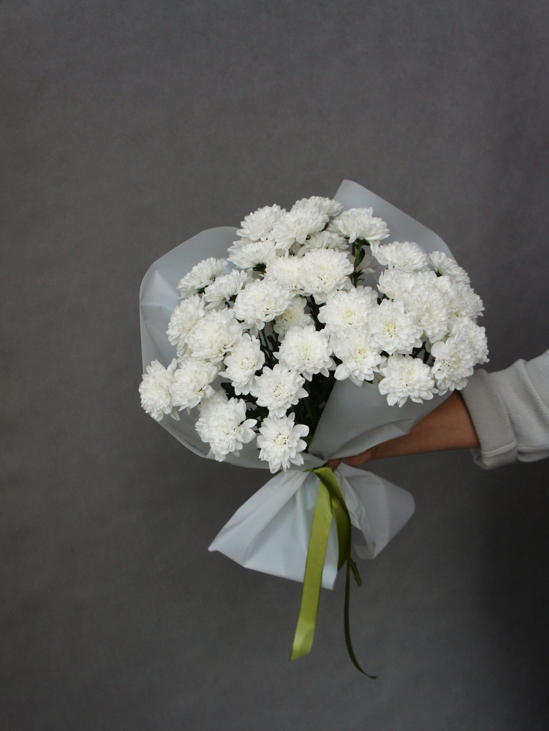 SONY DSC